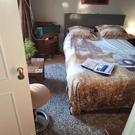 Homey Budget Bedroom *